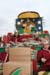 reyes-montijo023