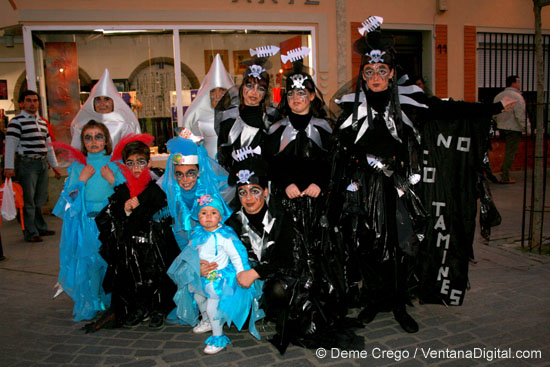 montijo0565