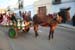 montijo366