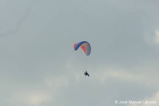 IMG_6675