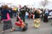 desfile_20080202_265