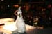 desfile_20080209_489