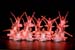 festival-danza_20